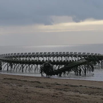 Serpent D'ocean 
