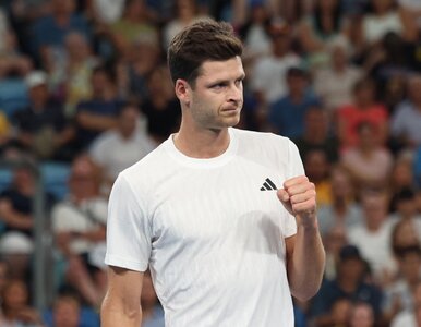 Miniatura: Hubert Hurkacz wraca na wielką scenę....