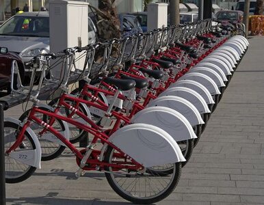 Miniatura: Rowery miejskie biją rekordy popularności...