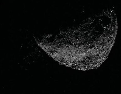Miniatura: Asteroida wielkości wieży Eiffla mknie w...