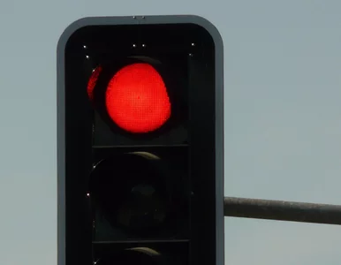 Miniatura: Fotoradar-rekordzista „wystawił” 69 tys....