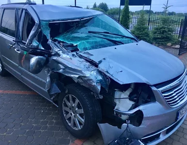 Miniatura: Gwiazdor disco-polo miał wypadek....