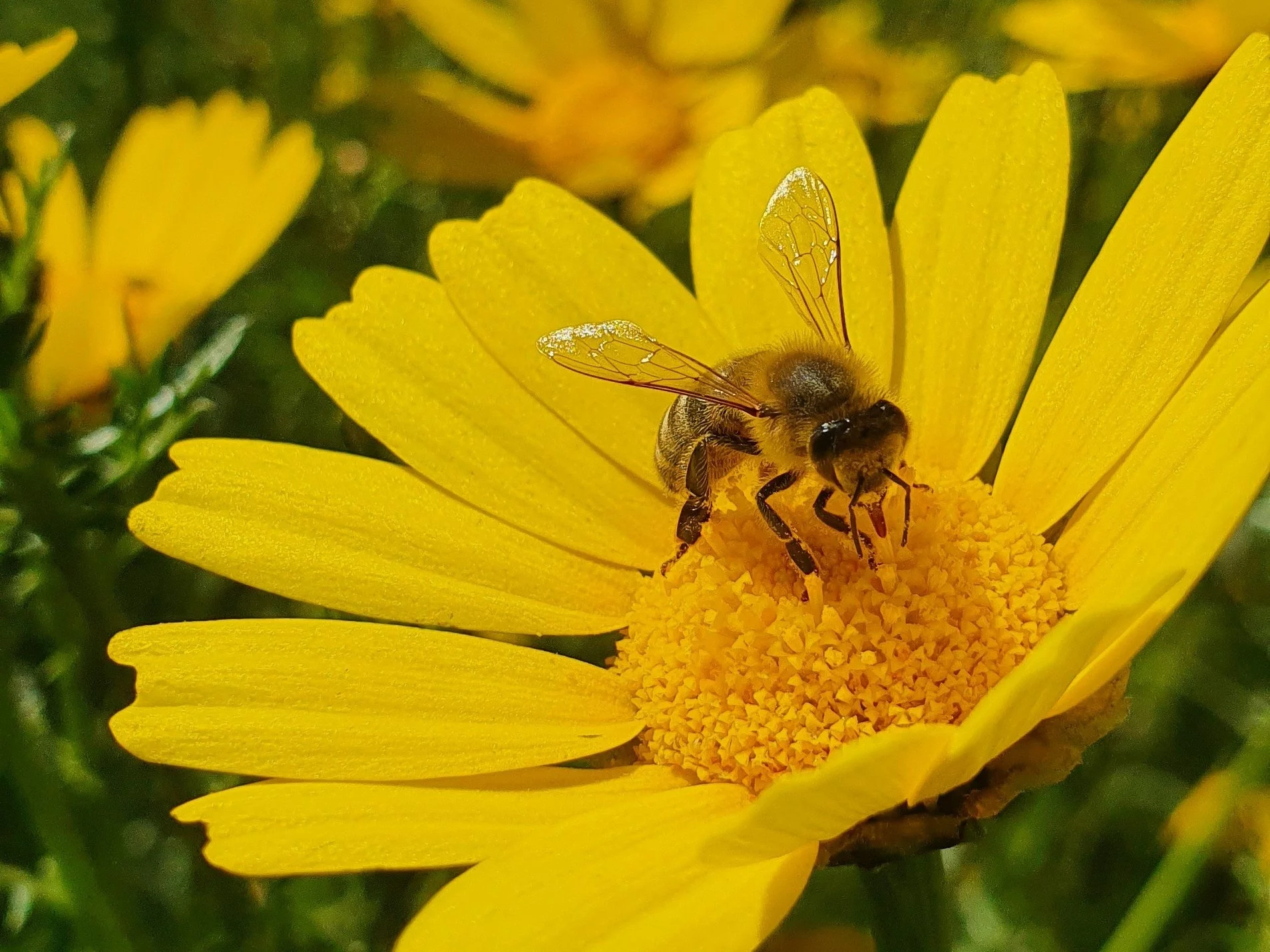 Prosty quiz z przyrody. Komplet punktów obowiązkowy