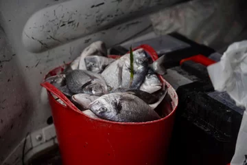 Udany „połów” na ulicy 