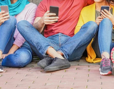 Miniatura: Nowa reforma MEN. Ekspertka wskazała...