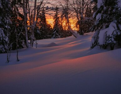 Miniatura: Pogoda na Święta Bożego Narodzenia. Wiemy,...