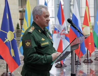 Miniatura: Szojgu zatwierdził listę chorób...