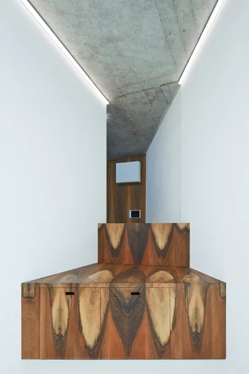 Dom w Pradze naszpikowany sztuczną inteligencją, projekt COLL COLL Linka, COLL COLL, kosmita, smart home, inteligentny dom