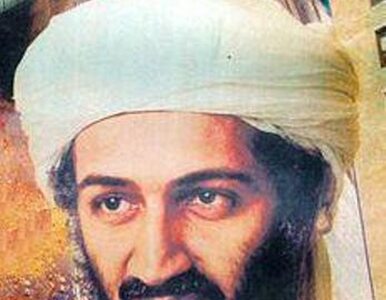 Miniatura: Bin Laden znów grozi Ameryce