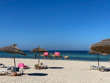 Plaża w&nbsp;Tunezji