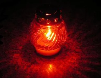 Miniatura: Nie żyje prof. Aleksander Abłamowicz -...