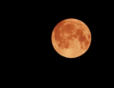 Miniatura: Jeszcze dzisiaj czeka nas podniebny...