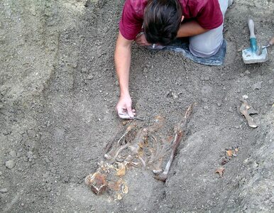Miniatura: Polscy archeolodzy odkryli masowy grób...