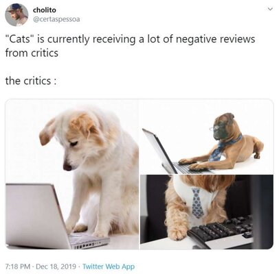 Miniatura: Memy inspirowane tragedią filmu „Koty”