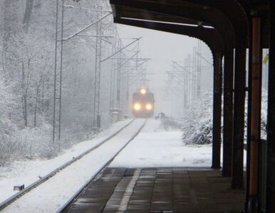 Miniatura: Chaos na śląskiej kolei. Będą zwolnienia?
