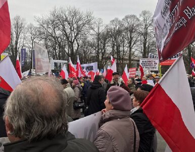 Miniatura: Manifestacja poparcia dla rządu....