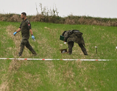 Miniatura: Szczątki rakiety spadły blisko zabudowań....