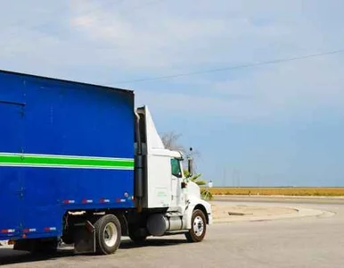 Miniatura: Zatrzymał się na czerwonym świetle i......