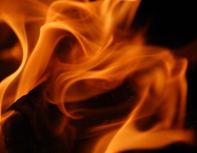Miniatura: Pożar w Nysie, trzy osoby zginęły