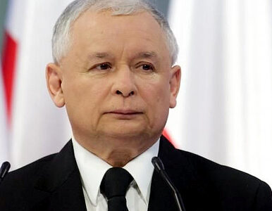 Miniatura: Kaczyński ma dylemat przed eurowyborami
