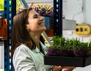 Miniatura: Szczepionka przeciwko koronawirusowi, leki...