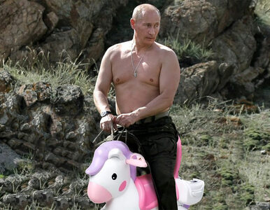 Putin idzie na wojnę z memami. Państwo będzie wyszukiwać i kasować obrazki