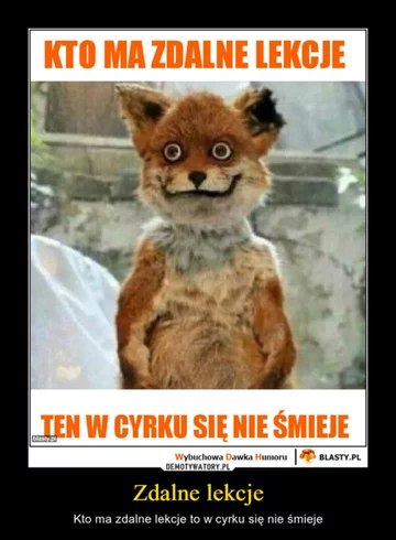 Mem o nauce zdalnej 