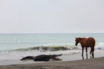 Fotomontaże autorstwa Alexa Lexa 