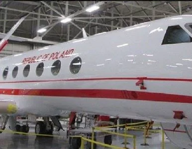 Miniatura: Zaproponuj własne nazwy samolotów dla...