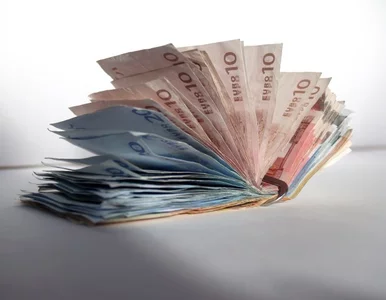 Miniatura: Euro wasze, zyski nasze