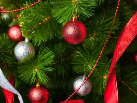 Miniatura: QUIZ. Jak dobrze znasz kolędy? Mniej niż...