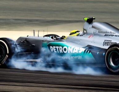 Miniatura: F1: Rosberg wygrywa przed Grand Prix