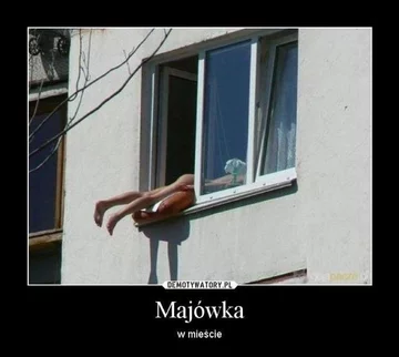 Majówka w mieście 