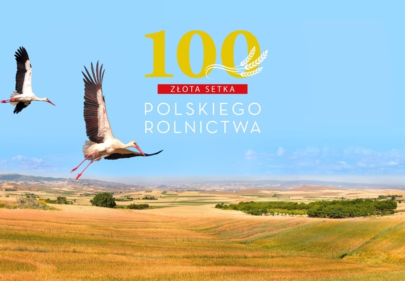 Polskie rolnictwo to potęga