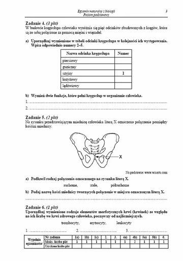 Matura 2013. Zobacz arkusze egzaminacyjne z biologii - poziom podstawowy (fot.CKE)
