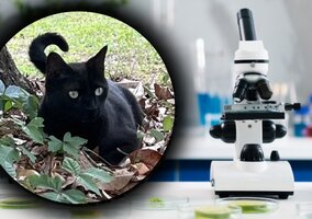 Miniatura: Wybrał się na&nbsp;polowanie i&nbsp;pomógł...