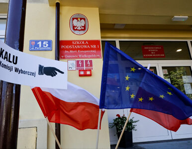 Miniatura: NA ŻYWO: Polacy zagłosowali w wyborach do...
