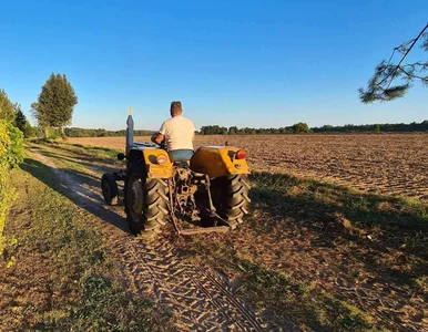 Miniatura: Sok pomarańczowy zdrożał w tym roku o...