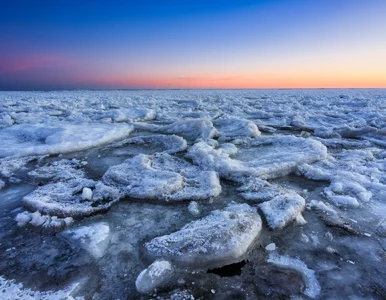 Miniatura: Lodowe drzewo na plaży. Atrakcje nad...