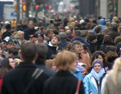 Miniatura: Polacy wolą być spokojni niż bogaci