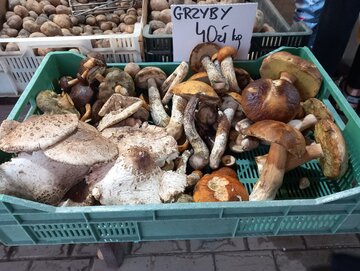 Grzyby na&nbsp;bazarze