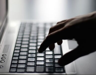 Miniatura: Połowa Francuzów to piraci internetowi