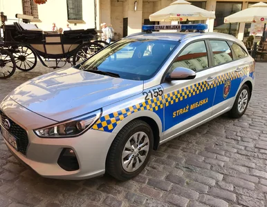 Miniatura: Warszawska straż miejska uratowała...