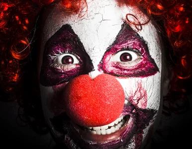 Miniatura: „Urwał się”. Noc, klaun i 60-centymetrowa...