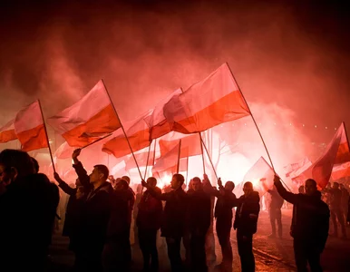 Miniatura: Polska – kraj korzeni wolności i tolerancji