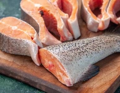 Miniatura: Karp na święta bez ości? Zobacz, co...