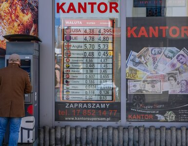 Miniatura: Kursy walut 12 sierpnia 2025. Po ile...