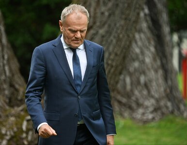 Miniatura: Berek już oficjalnie do TK. Tusk: Biorę to...