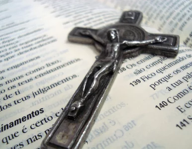 Miniatura: W tym tunelu jest światło