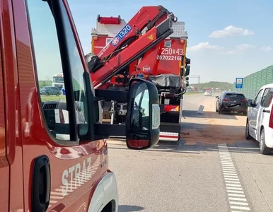 Miniatura: Śmiertelny wypadek na A1. Pasażerowie busa...